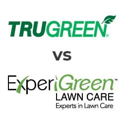 Experigreen lawn care - Perimeter Pest Control. We perform a multi-point pest defense plan which includes: Removal of spider webs. Removal of debris from eaves and windowsills. Targeted control of crawling pests like spiders, earwigs, and ants. Treatment area includes 3 feet around the exterior of your home. Get the Premier Pest Control Plan. 